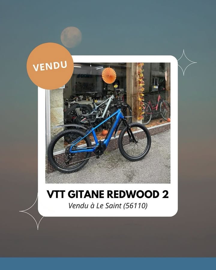 Velo vendu Le Gitane Redwood 2 cest 1 830137793288267 - Accueil - Quimper Brest