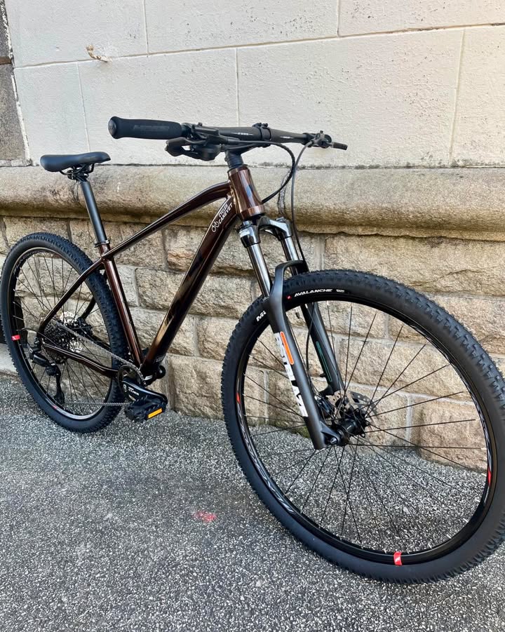 Grand soleil ciel bleu 1 946849744950404 - Accueil - Quimper Brest Grand soleil ciel bleu 1 946849744950404 - Accueil - Quimper Brest