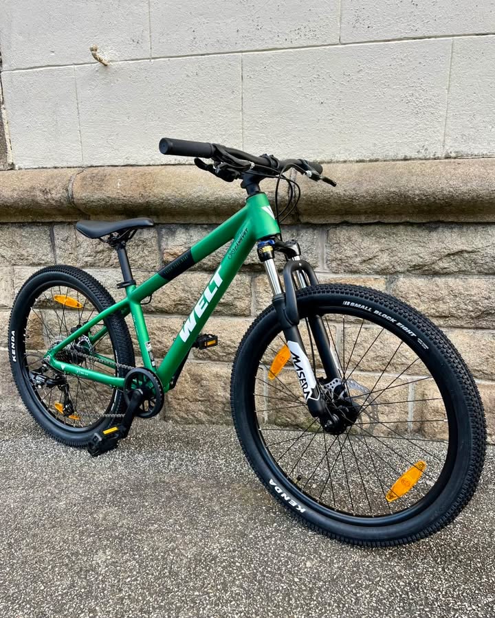 WELT BRAVE 1 1 951980674437311 - Accueil - Quimper Brest WELT BRAVE 1 1 951980674437311 - Accueil - Quimper Brest