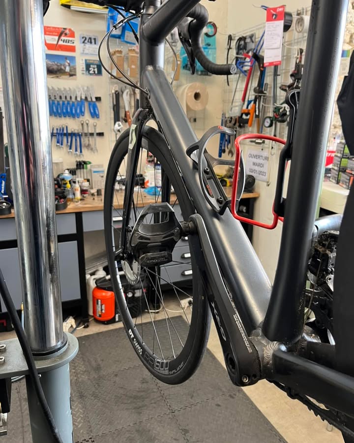 LE PRINTEMPS EST LA 1 969886699313375 - Accueil - Quimper Brest LE PRINTEMPS EST LA 1 969886699313375 - Accueil - Quimper Brest